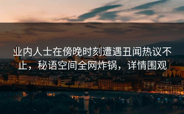 业内人士在傍晚时刻遭遇丑闻热议不止，秘语空间全网炸锅，详情围观