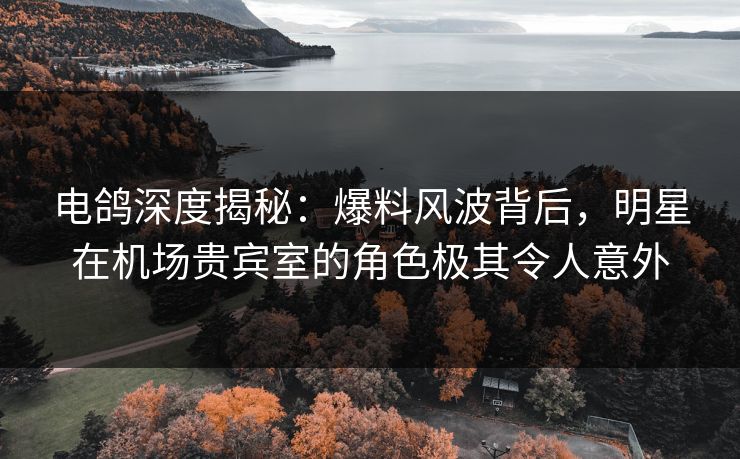 电鸽深度揭秘：爆料风波背后，明星在机场贵宾室的角色极其令人意外