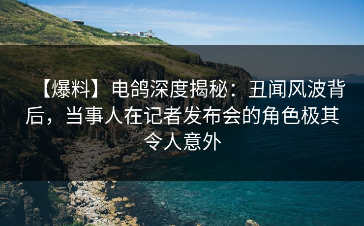 【爆料】电鸽深度揭秘：丑闻风波背后，当事人在记者发布会的角色极其令人意外