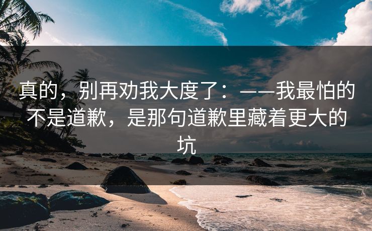 真的,别再劝我大度了:——我最怕的不是道歉,是那句道歉里藏着更大的坑