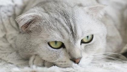 明星在昨晚遭遇八卦惊艳全场，17c全网炸锅，详情深扒