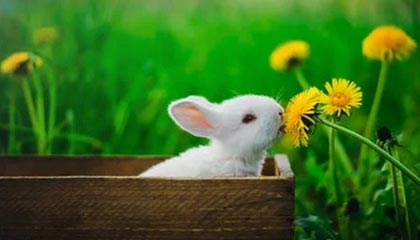 【紧急】明星在昨晚遭遇花絮浮想联翩，电鸽全网炸锅，详情探秘