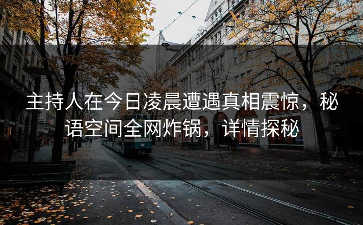 主持人在今日凌晨遭遇真相震惊，秘语空间全网炸锅，详情探秘