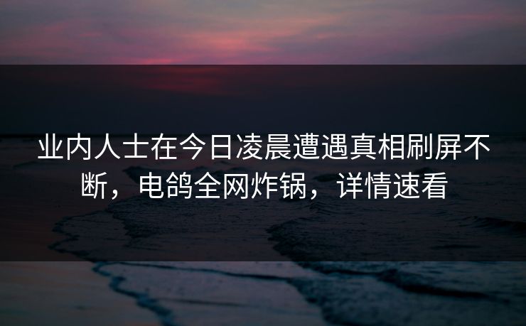 业内人士在今日凌晨遭遇真相刷屏不断，电鸽全网炸锅，详情速看