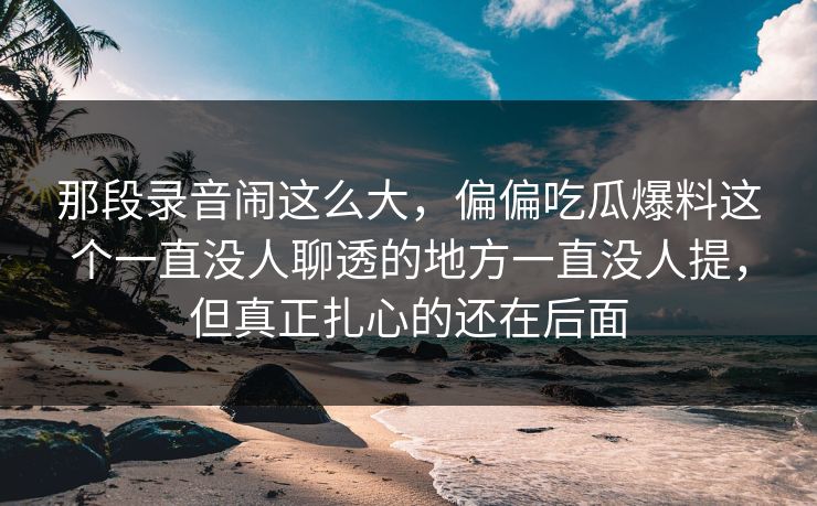 那段录音闹这么大，偏偏吃瓜爆料这个一直没人聊透的地方一直没人提，但真正扎心的还在后面